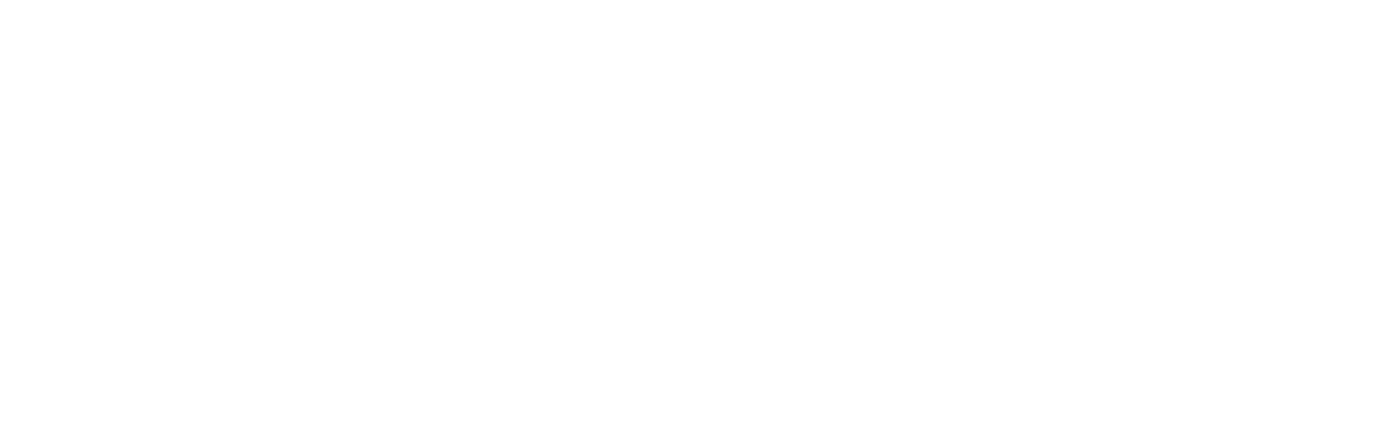 Premium Detailing