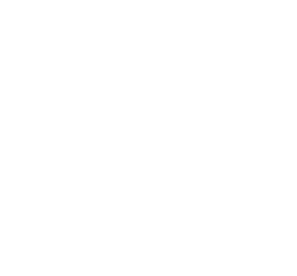 Pristine Auto Shine